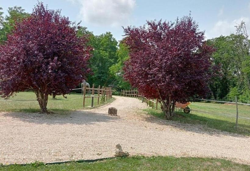 غرفة قياسية, La Fontaine De La Chapinière Cw