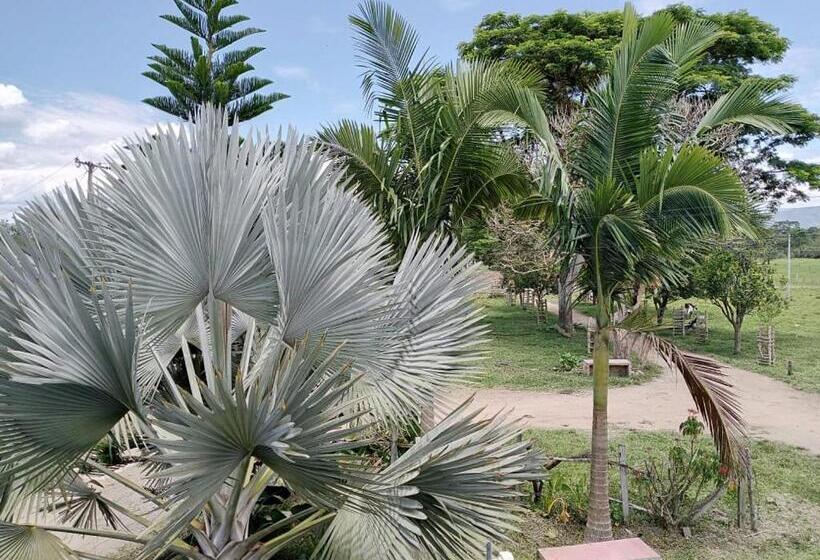 חדר סטנדרט, Yamboró