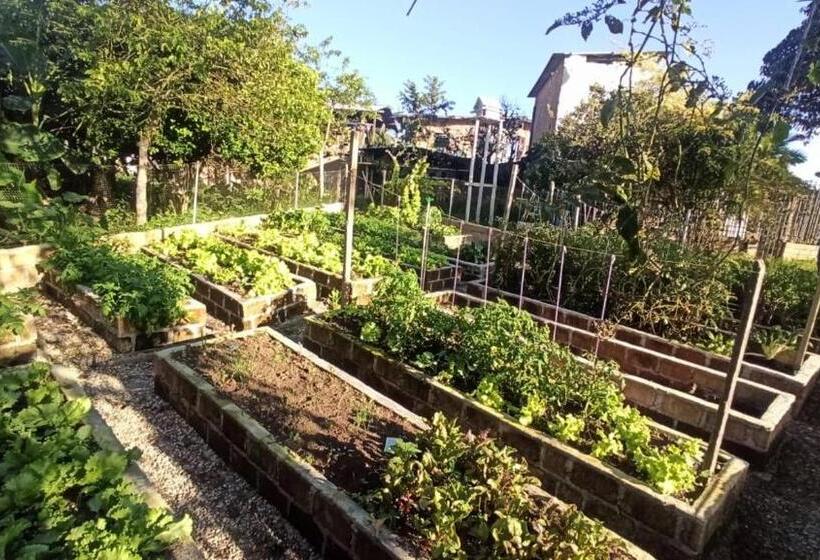 חדר סטנדרט, Yamboró