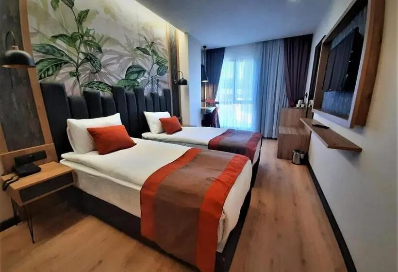 Pokój Standard, Bursa Koza