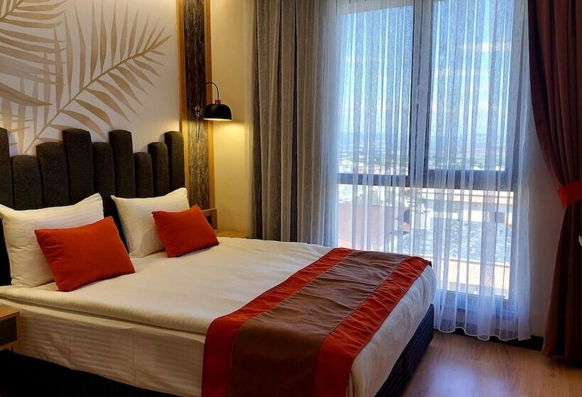 Номер Стандарт, Bursa Koza