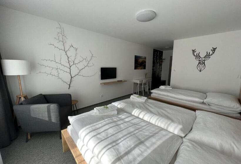 Standard Kolmen Hengen Huone, Varnsdorf