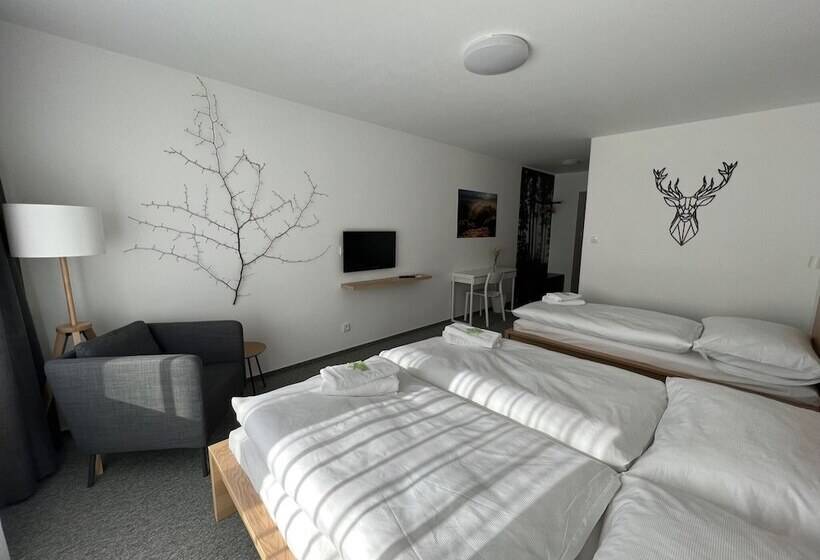 Standard Kolmen Hengen Huone, Varnsdorf