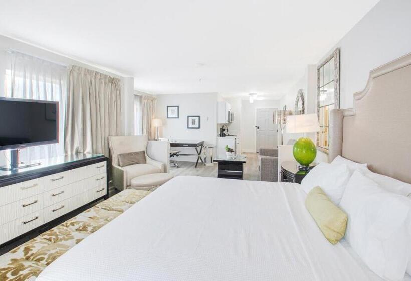 חדר סטודיו סטנדרד, Elkotel