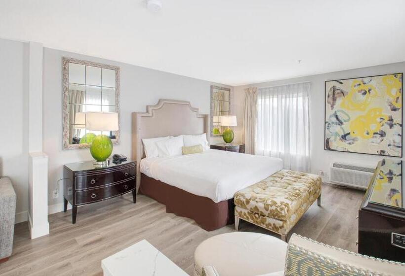 חדר סטודיו סטנדרד, Elkotel