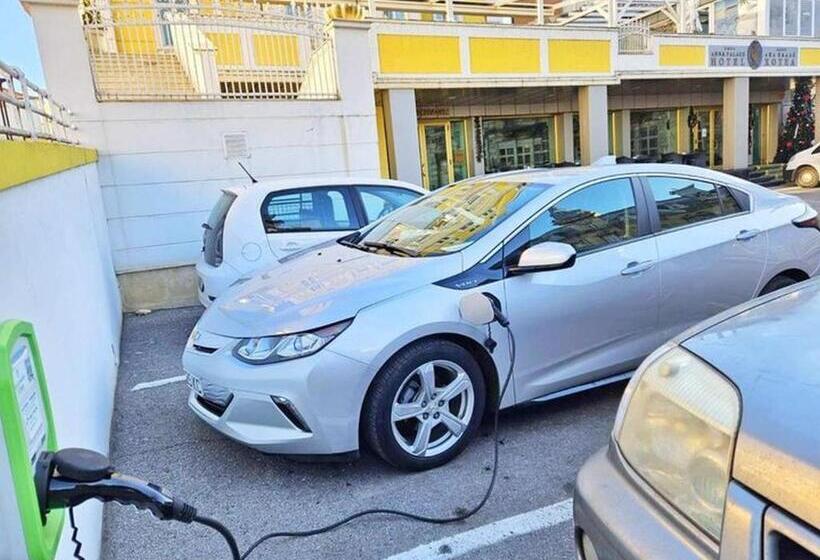 デラックストリプルルーム, Anna Palace