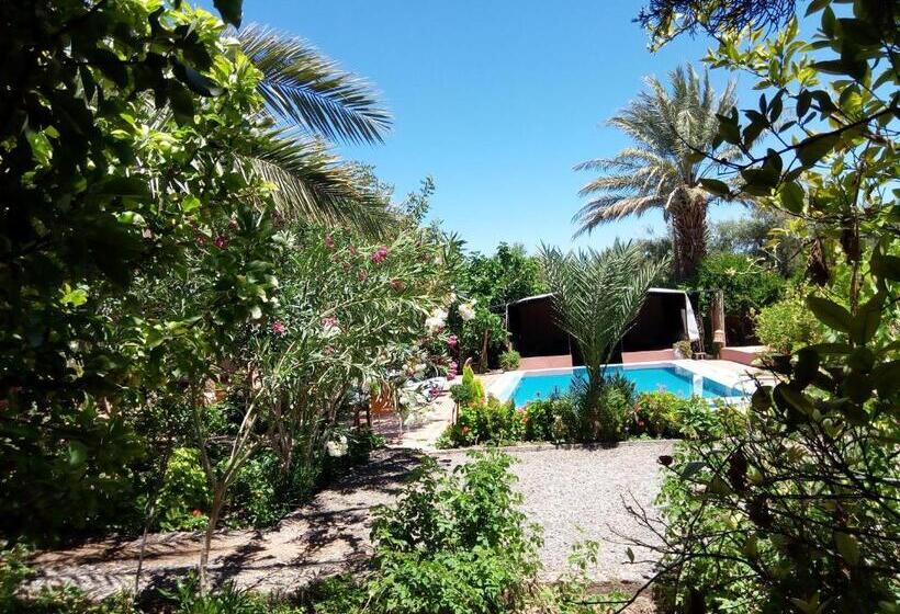 اتاق استاندارد با چشم‌انداز استخر, Bassatine Skoura