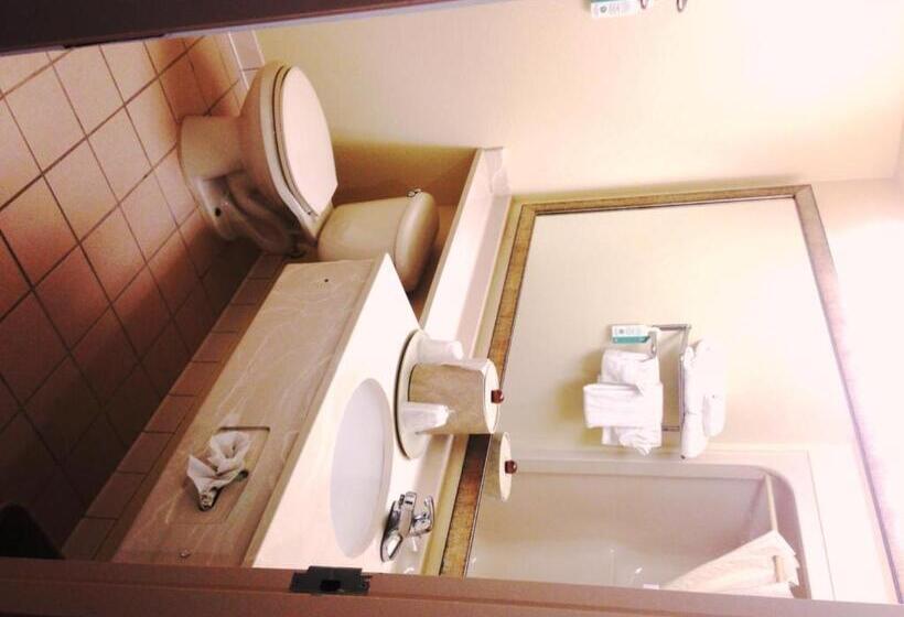 带大床的标准间, Comfort Inn & Suites Ft.jackson Maingate