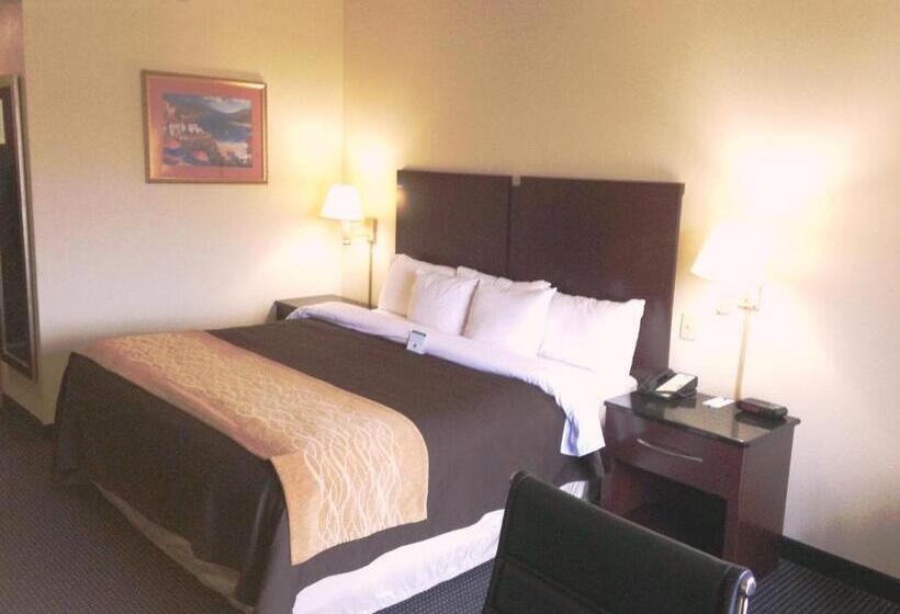 Стандартный Номер Кровать Кинг, Comfort Inn & Suites Ft.jackson Maingate