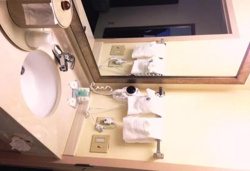 スイート, Comfort Inn & Suites Ft.jackson Maingate