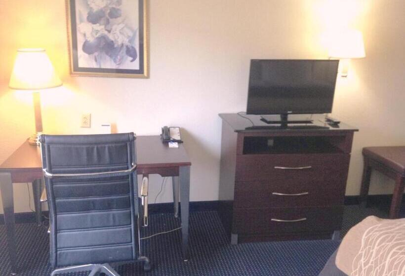 Люкс, Comfort Inn & Suites Ft.jackson Maingate