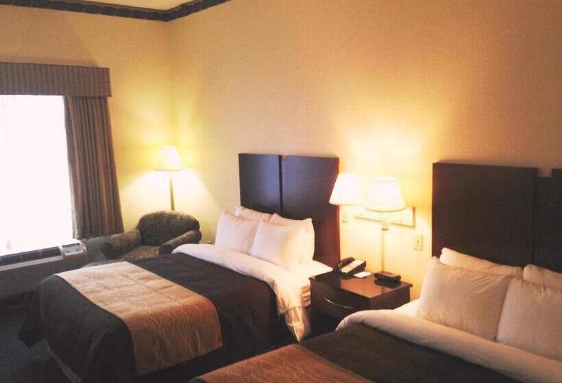 套房, Comfort Inn & Suites Ft.jackson Maingate