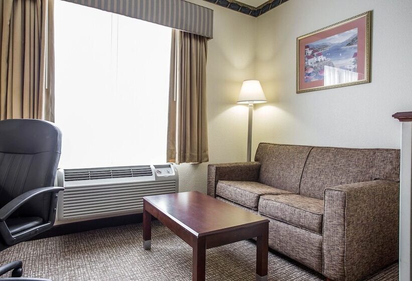 Люкс, Comfort Inn & Suites Ft.jackson Maingate