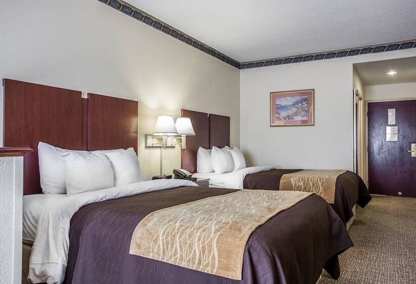 Люкс, Comfort Inn & Suites Ft.jackson Maingate