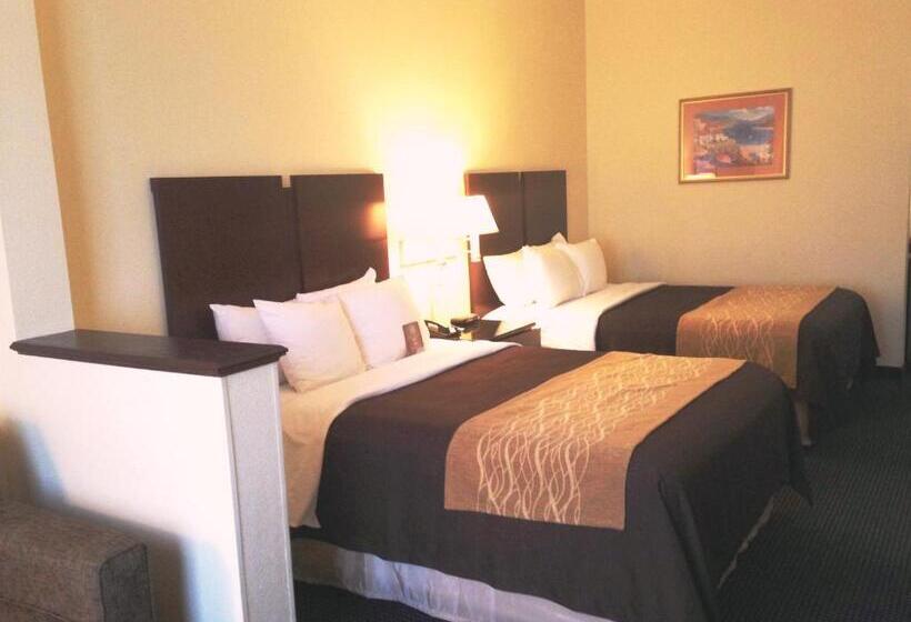 套房, Comfort Inn & Suites Ft.jackson Maingate
