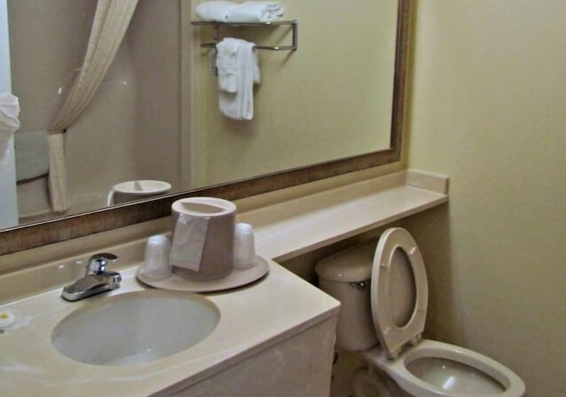 Люкс, Comfort Inn & Suites Ft.jackson Maingate