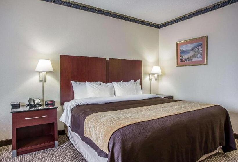 带大床的标准间, Comfort Inn & Suites Ft.jackson Maingate