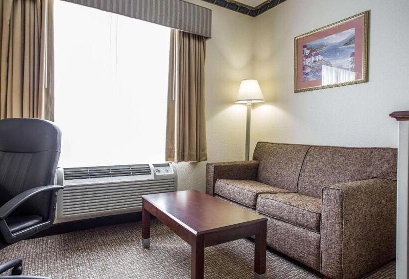 套房, Comfort Inn & Suites Ft.jackson Maingate