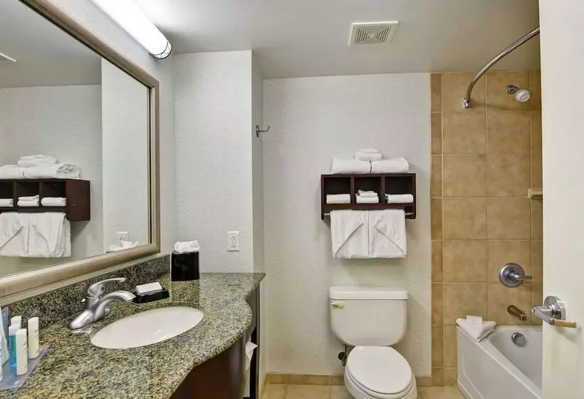 スタンダードルーム, Hampton Inn & Suites Wilkes Barre/scranton
