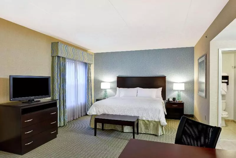 キングサイドベッドのスタンダードワンルーム, Hampton Inn & Suites Wilkes Barre/scranton