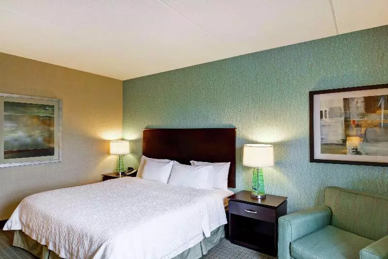 身障者適用キングサイズベッドルーム, Hampton Inn & Suites Wilkes Barre/scranton