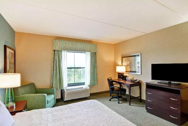 身障者適用キングサイズベッドルーム, Hampton Inn & Suites Wilkes Barre/scranton