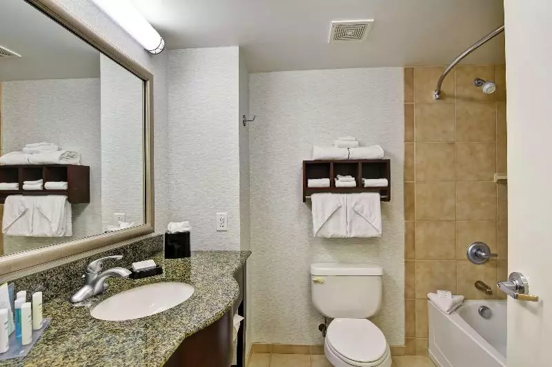 キングサイズベッドのスタンダードルーム, Hampton Inn & Suites Wilkes Barre/scranton