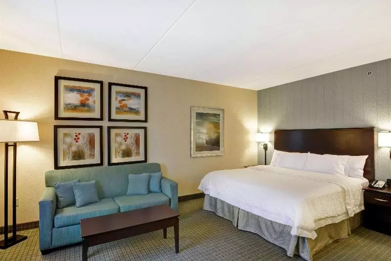 キングサイズベッドのスタンダードルーム, Hampton Inn & Suites Wilkes Barre/scranton