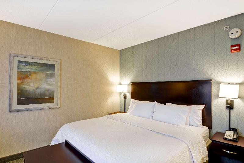 스탠다드 룸 킹사이즈 침대, Hampton Inn & Suites Wilkes Barre/scranton