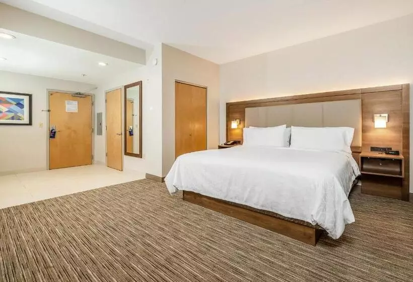 キングサイズベッドのエクゼクティブルーム, Holiday Inn Express Fremont   Milpitas Central, An Ihg