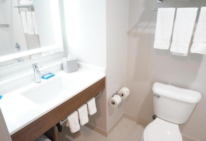 이그제큐티브 룸 킹사이즈 침대, Holiday Inn Express Fremont   Milpitas Central, An Ihg