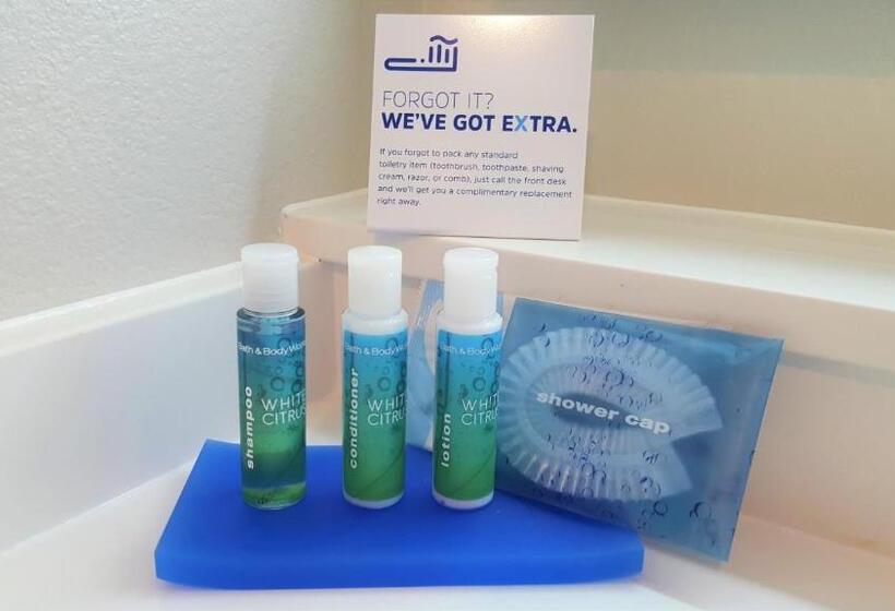 이그제큐티브 룸 킹사이즈 침대, Holiday Inn Express Fremont   Milpitas Central, An Ihg