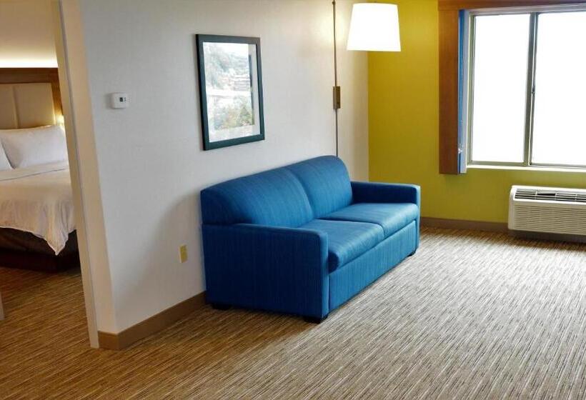 수피리어 스위트, Holiday Inn Express Fremont   Milpitas Central, An Ihg