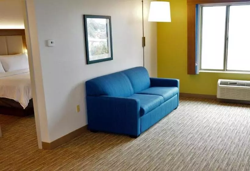 スーペリアースイート, Holiday Inn Express Fremont   Milpitas Central, An Ihg