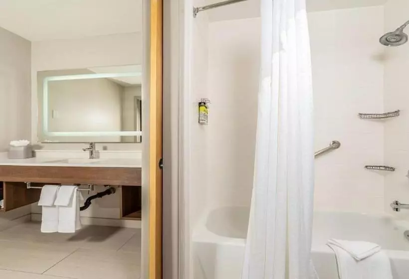 スーペリアースイート, Holiday Inn Express Fremont   Milpitas Central, An Ihg