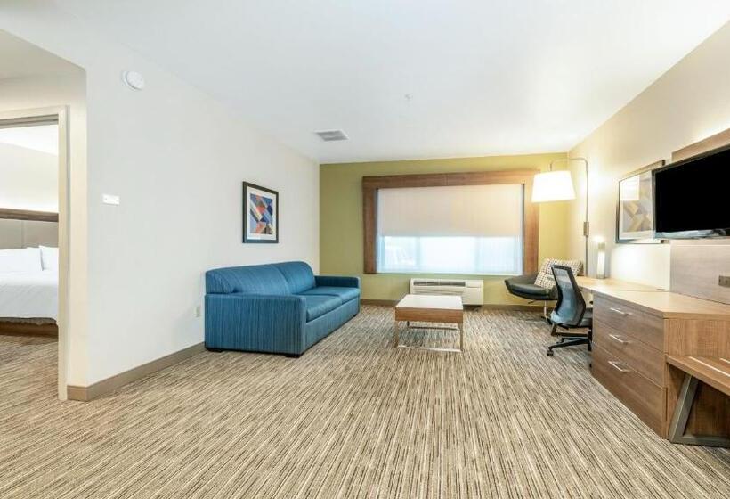 Superior-sviitti, Holiday Inn Express Fremont   Milpitas Central, An Ihg