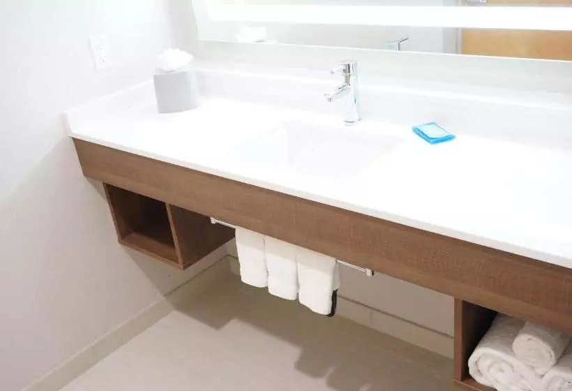 スーペリアースイート, Holiday Inn Express Fremont   Milpitas Central, An Ihg