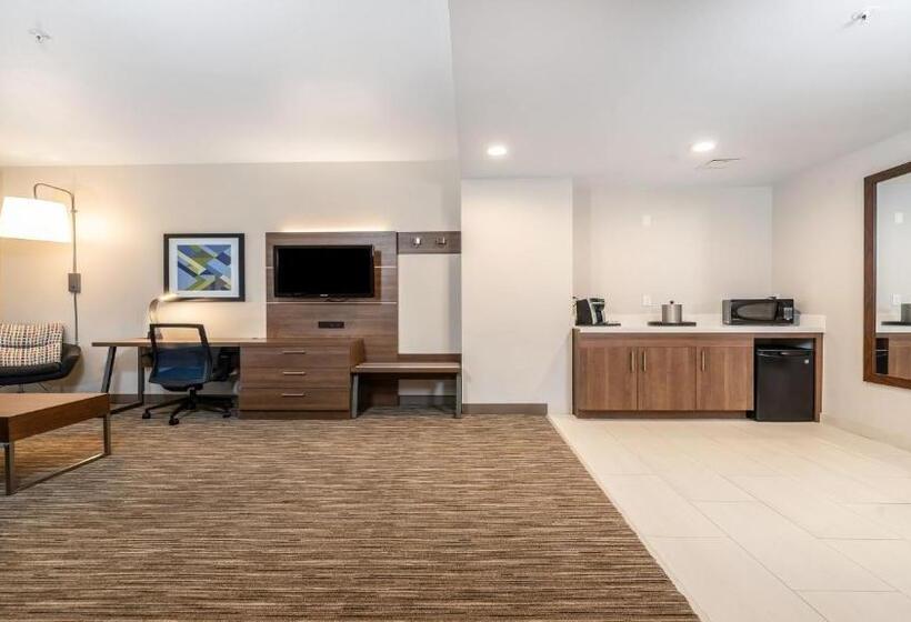 수피리어 스위트, Holiday Inn Express Fremont   Milpitas Central, An Ihg