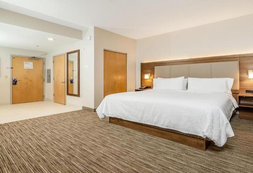 Standard-huone King-vuode, Holiday Inn Express Fremont   Milpitas Central, An Ihg