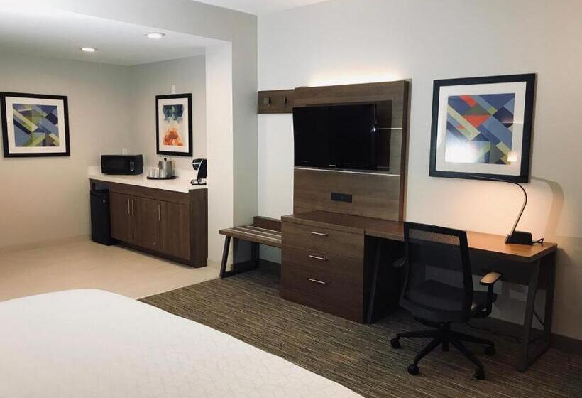 스탠다드 룸 킹사이즈 침대, Holiday Inn Express Fremont   Milpitas Central, An Ihg