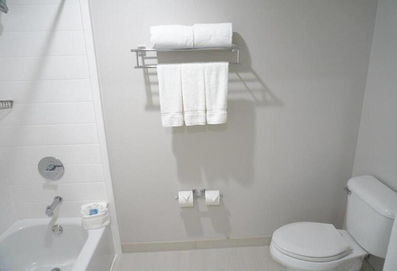 스탠다드 룸 킹사이즈 침대, Holiday Inn Express Fremont   Milpitas Central, An Ihg