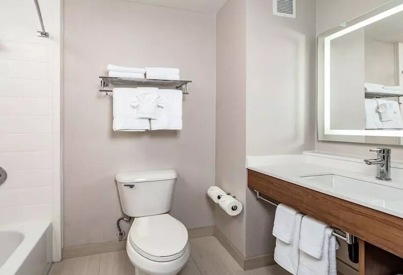 キングサイズベッドのスタンダードルーム, Holiday Inn Express Fremont   Milpitas Central, An Ihg