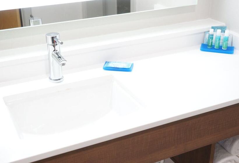 스탠다드 룸 킹사이즈 침대, Holiday Inn Express Fremont   Milpitas Central, An Ihg