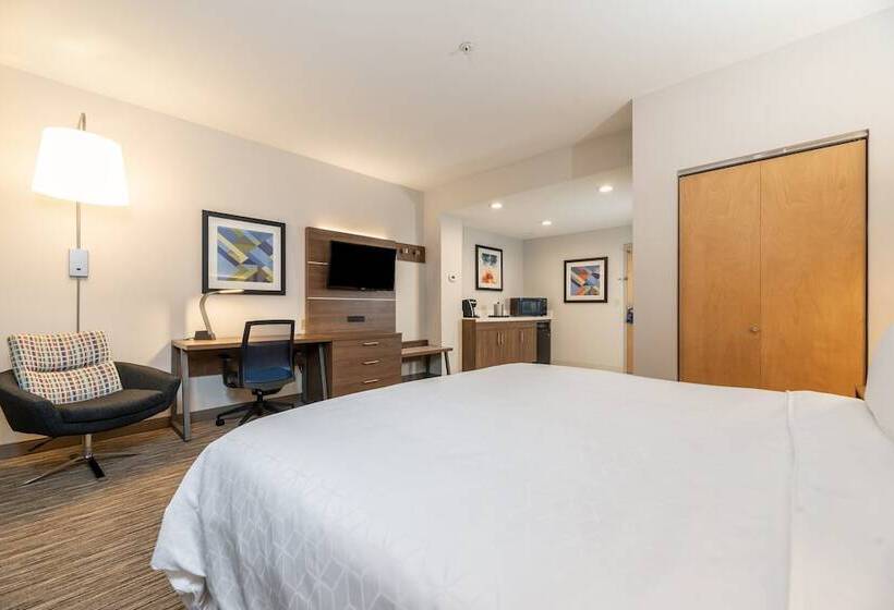 스탠다드 룸 킹사이즈 침대, Holiday Inn Express Fremont   Milpitas Central, An Ihg