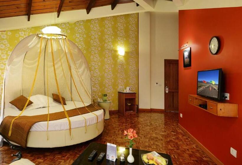 سوییت, Honeymoon Inn Shimla