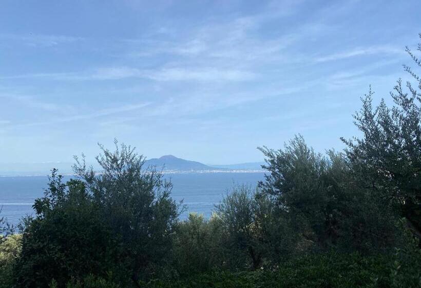 스탠다드 발코니 룸, La Badia