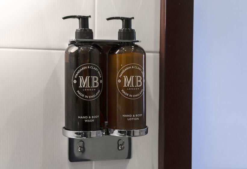 اتاق استاندارد با چشمانداز پارک, Petit Palace Savoy Alfonso XII