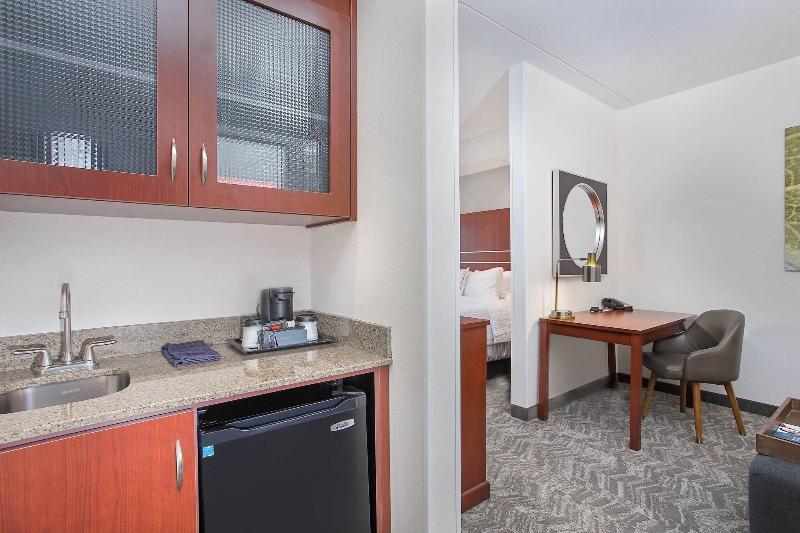 带大床的标准工作室, Springhill Suites Pigeon Forge