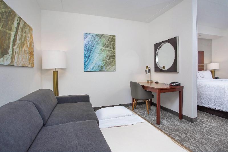 استودیو استاندارد با تخت کینگ, Springhill Suites Pigeon Forge