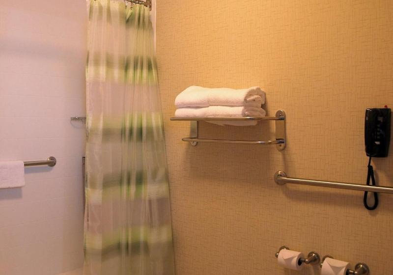 استودیو استاندارد با تخت کینگ, Springhill Suites Pigeon Forge